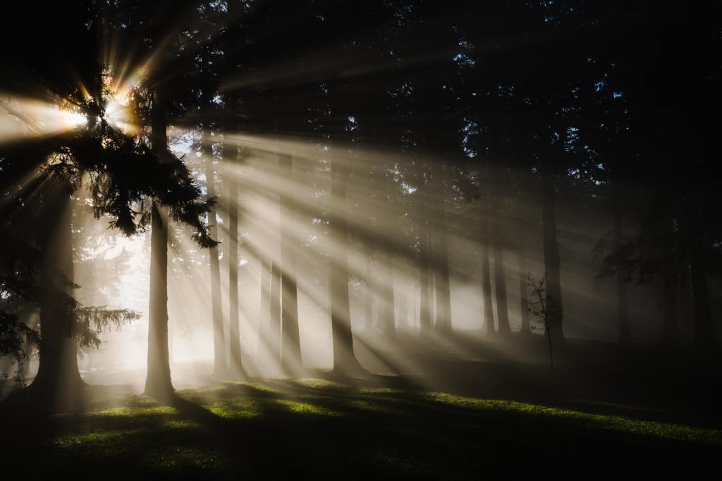 Abound in the God of&nbsp;Hope