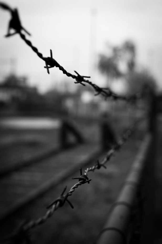 God’s Friends and God’s Enemies
