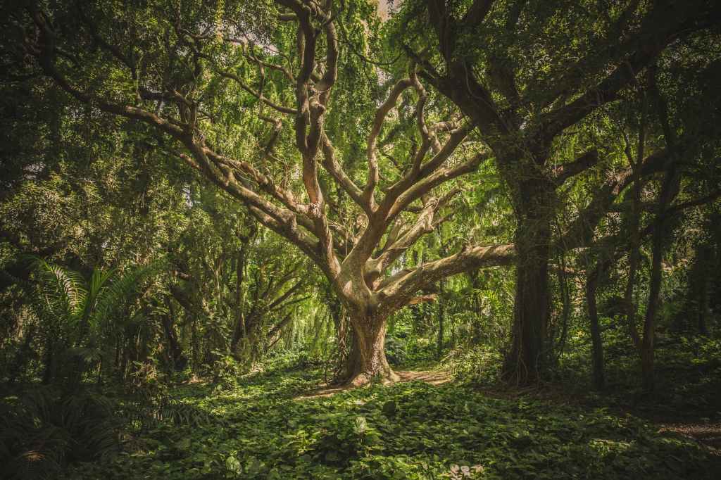 Israel’s Spiritual Things Are Yours Pt. 2