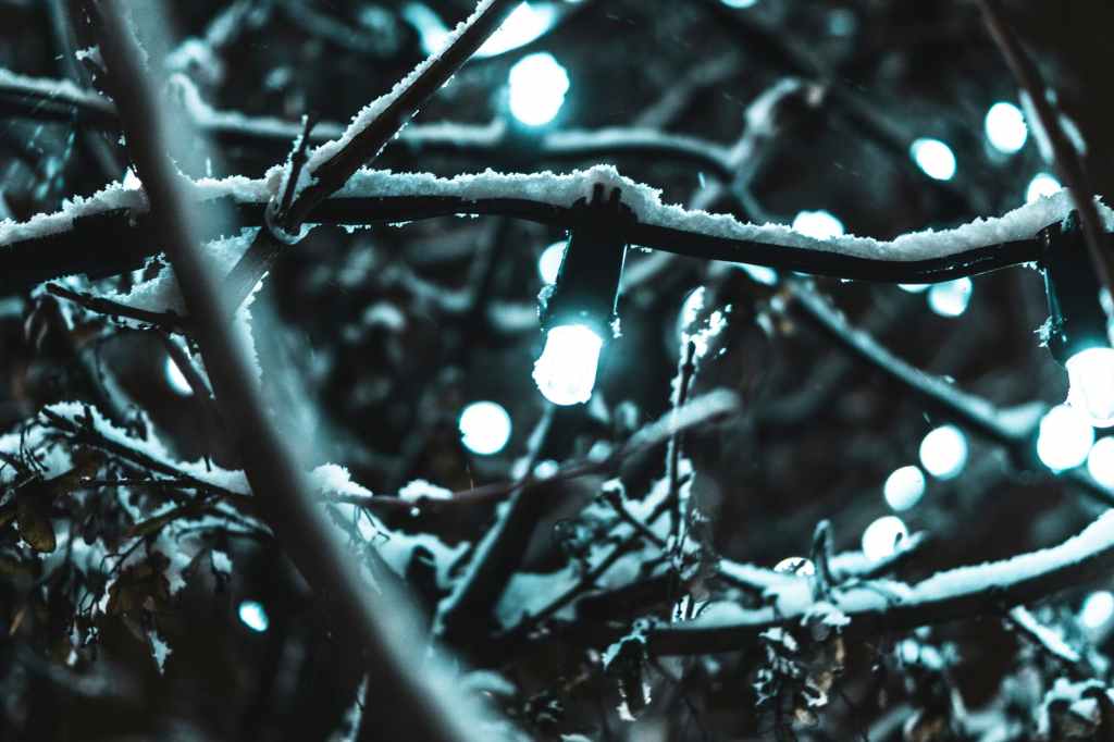 The Light on the&nbsp;Tree