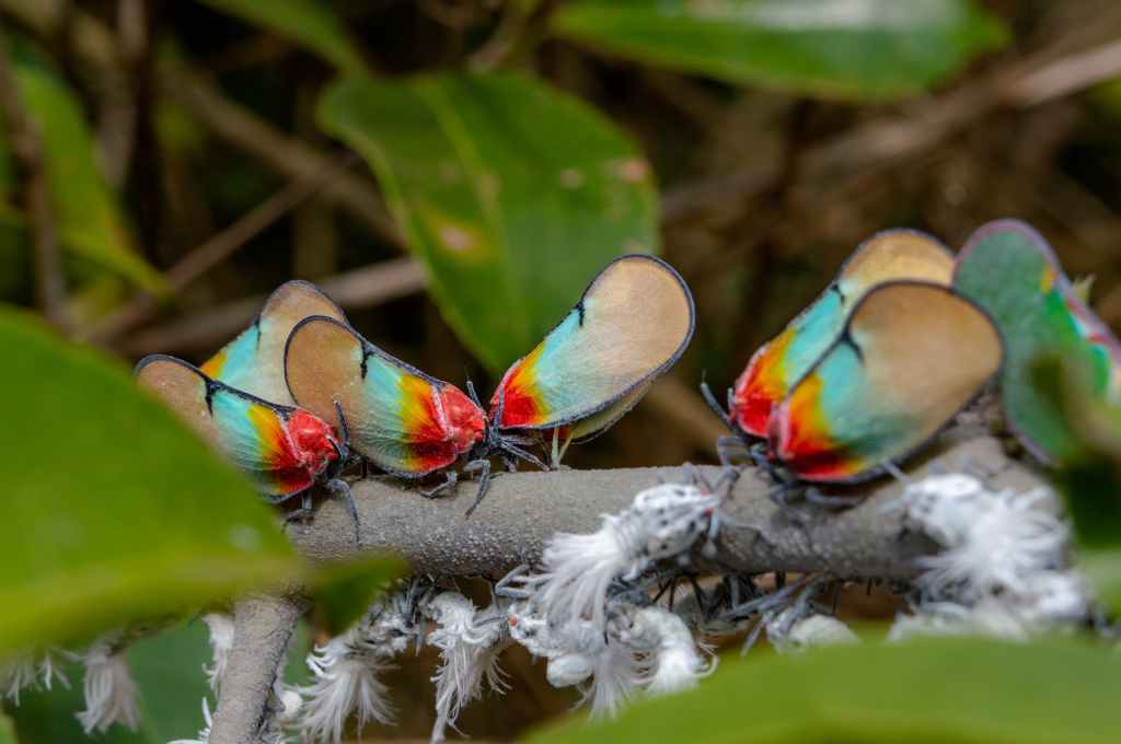 Conformed or Transformed?