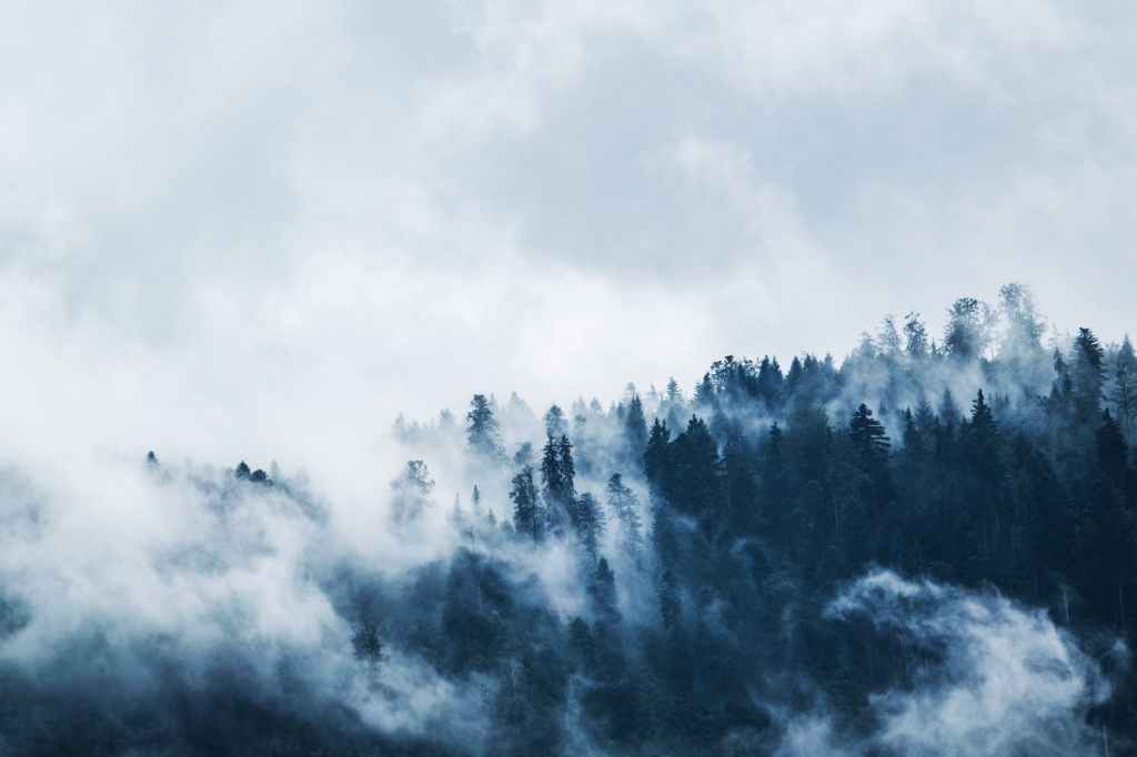 The Tempting in the Wilderness