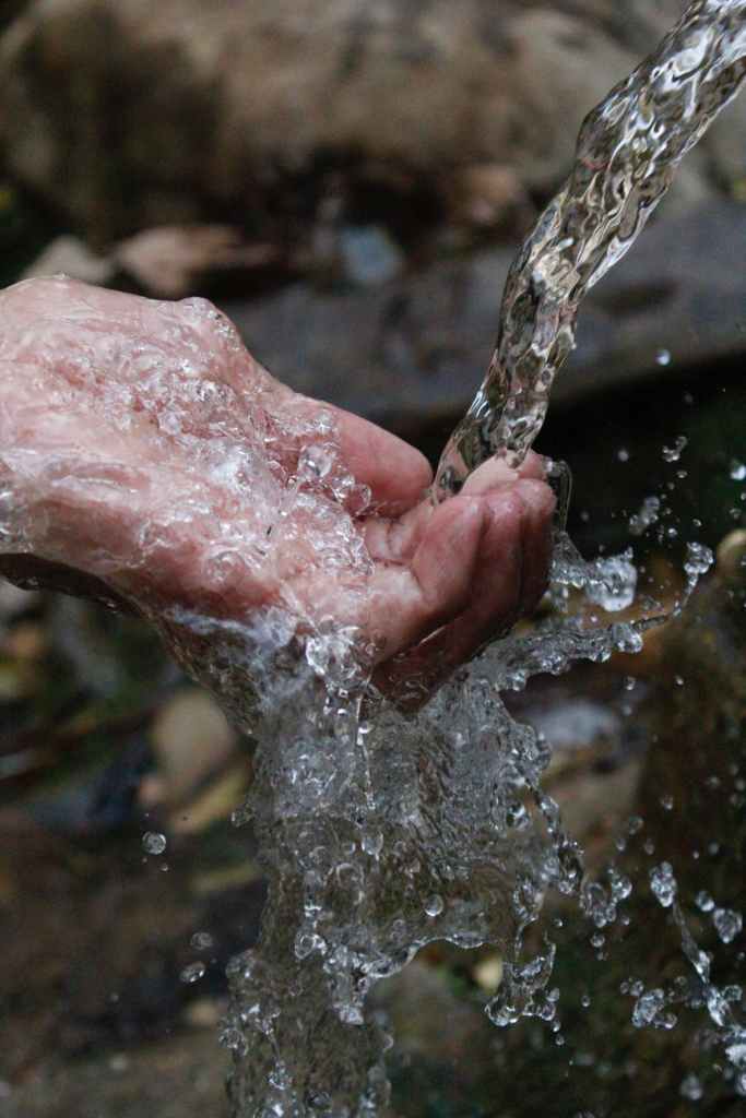 The Waters of Separation & Purification
