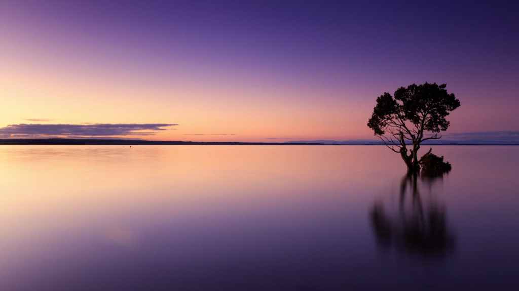 A Brief Meditation on Meditation