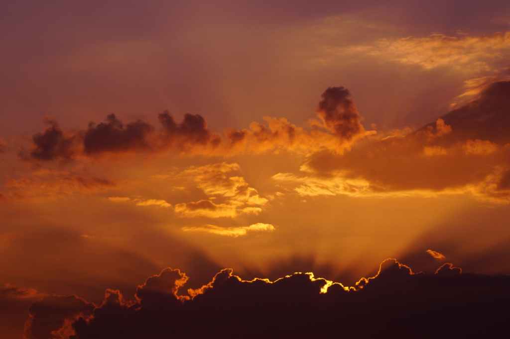 Citizens of the Heavens