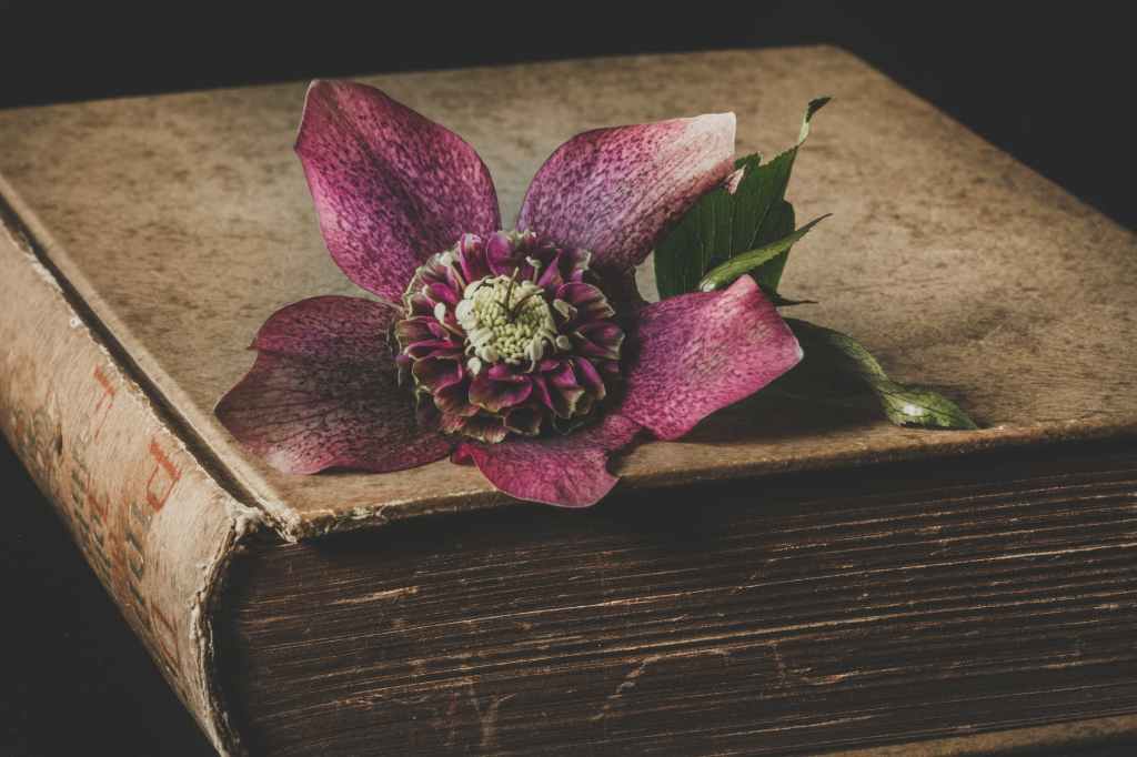 The Book of Life