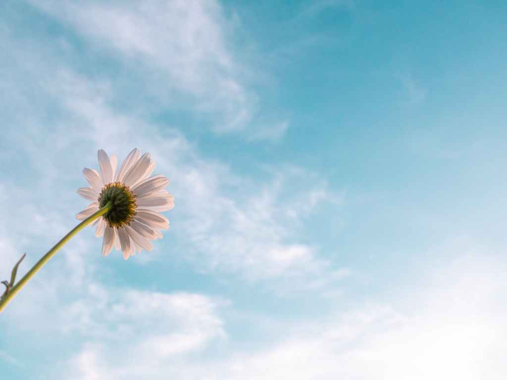 5 Aspects of Our Heavenly&nbsp;Bodies