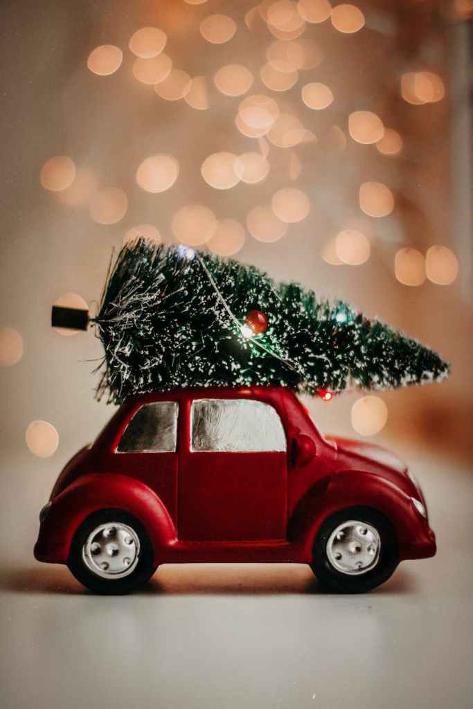 Kindness to the Crazy Family at Christmastime