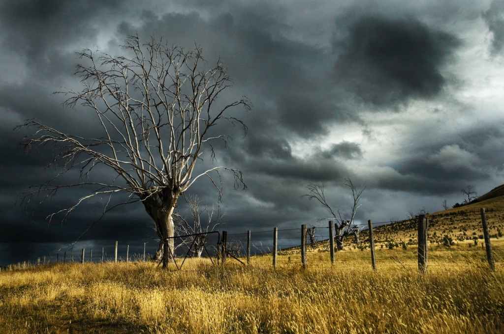 Why Did The Lord Call Peter&nbsp;“Satan?”