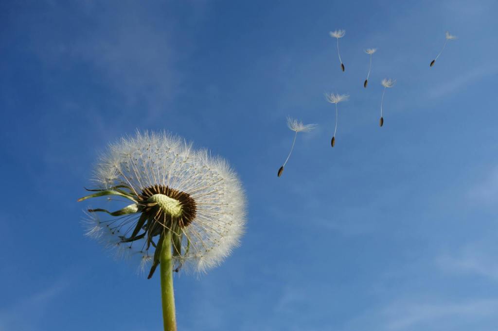 ‘Stirring Up The Gift’ Within Us But How?