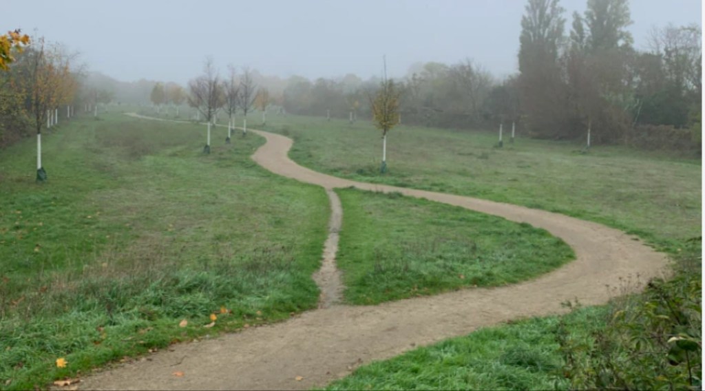A Well Worn Path