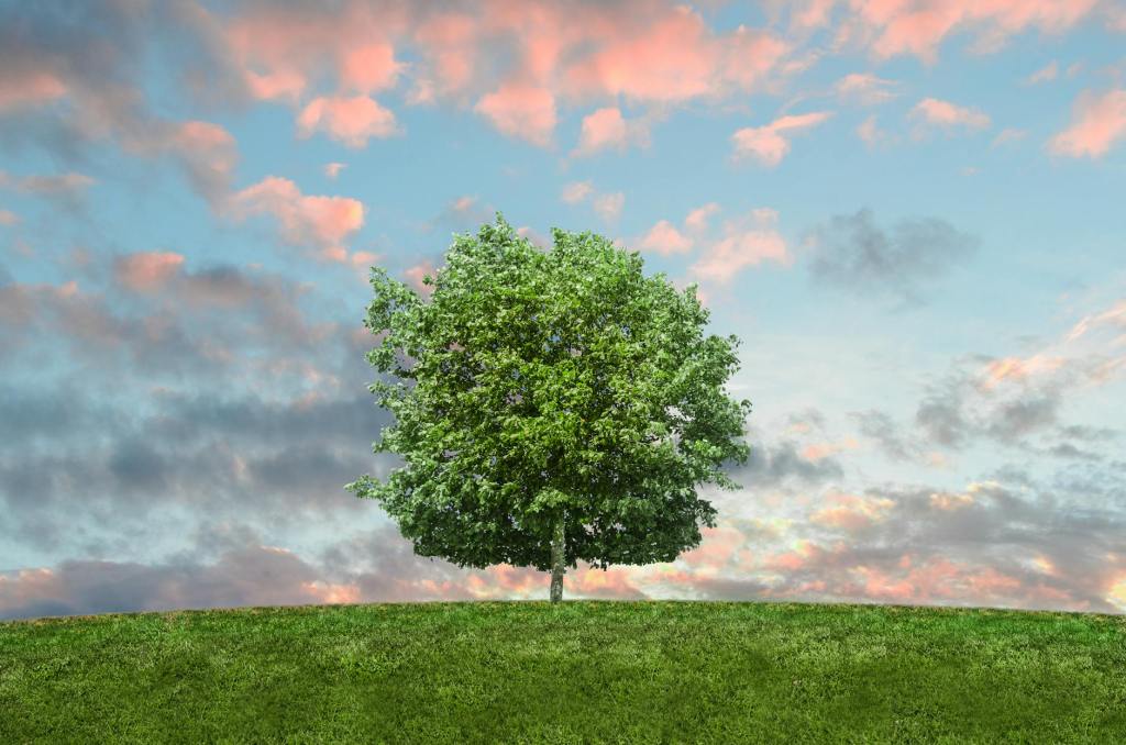The Tree of Life