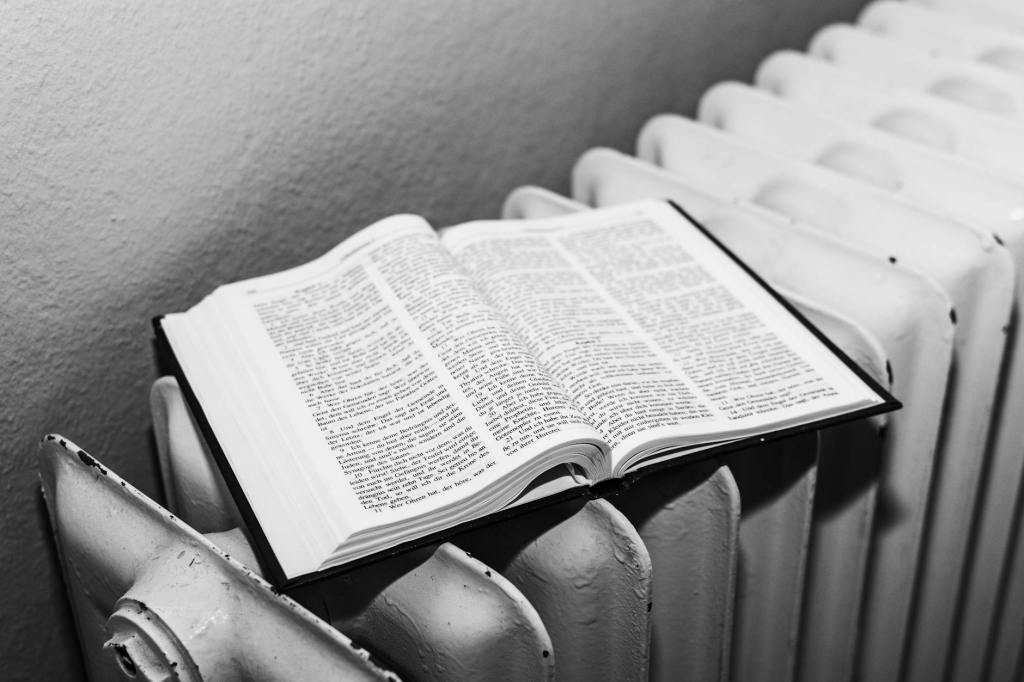 MAD BAD Hermeneutical&nbsp;Terms