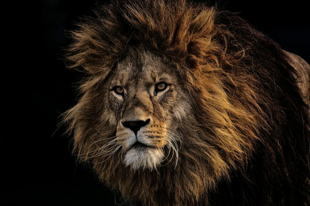 What is God’s Strength Made Perfect?