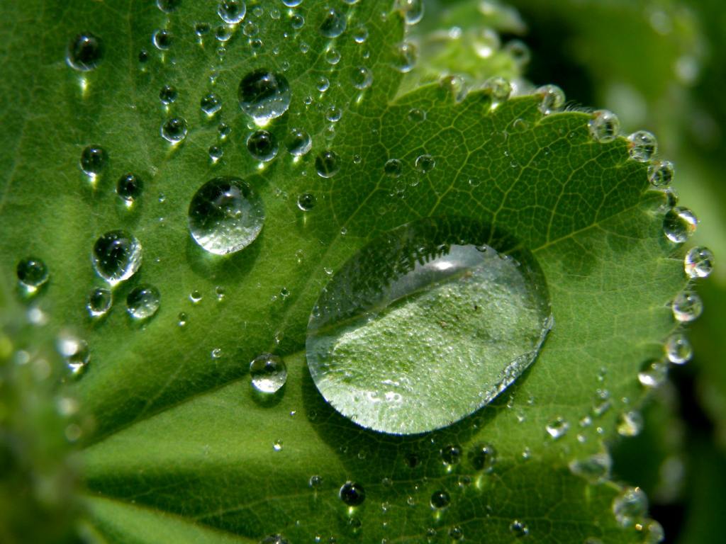 7 Insights into Spiritual&nbsp;Purity
