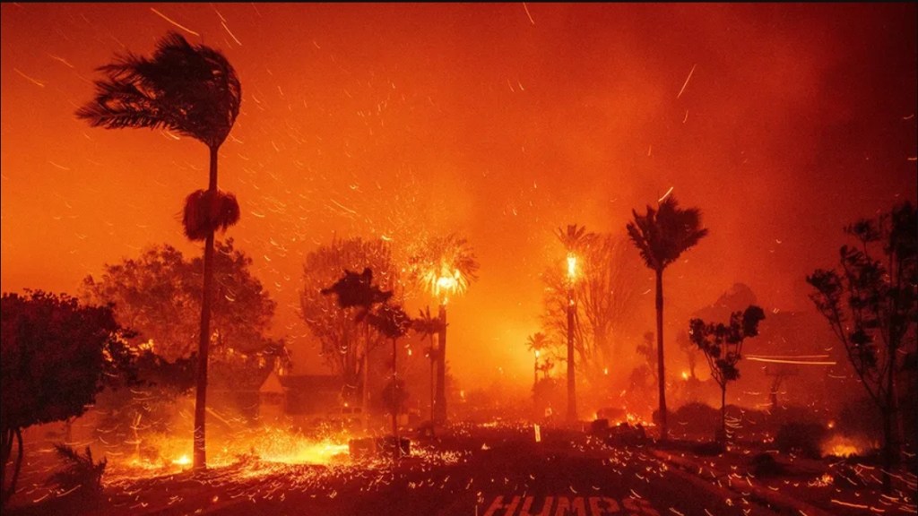 Apocalyptic Wildfires