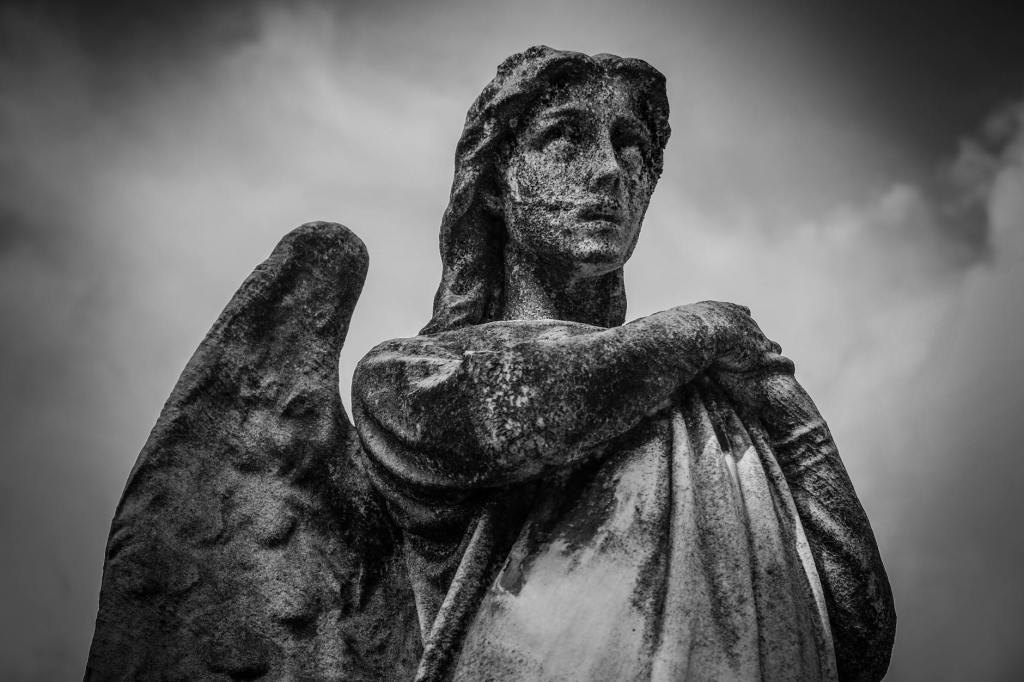 Cherubims of Glory