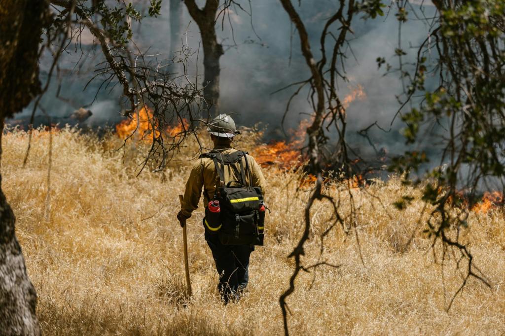 Unmanaged Brush Fires